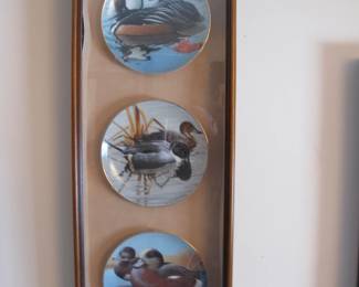 Water Fowl collector plates