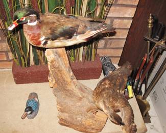 Wood duck mounts