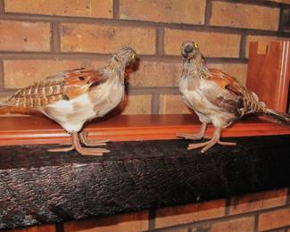 Partridge mounts