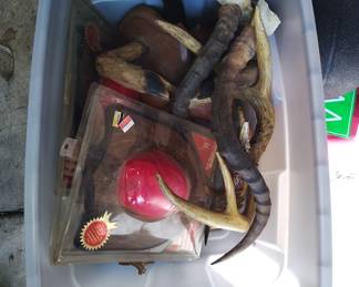 Assorted Antlers