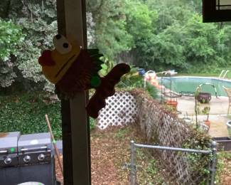 A fish on the railing and a lizard above.
