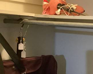 Suit case.