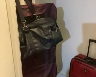 This closet has the suit cases in it.