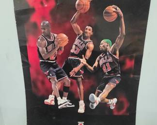 1996 Chicago Bulls Poster