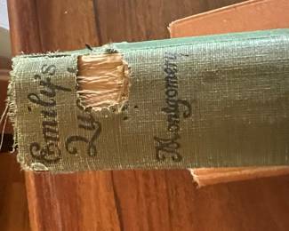 Emily's Quest by L. M. Montgomery (1905)