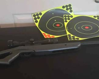 HA111Remington NPSS With Targets