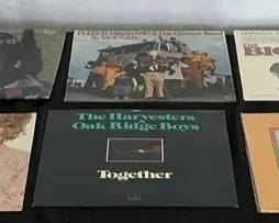 Vinyl Records