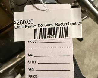 Giant Revive DX Semi-Recumbent Bike