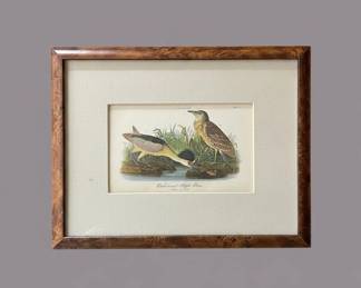 Blackcrowned Night Heron Print by John James Audubon, Plate