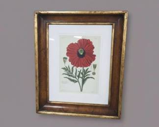 Framed Watercolor Painting of European Scene and Botanical Illustration of a Red Poppy second image