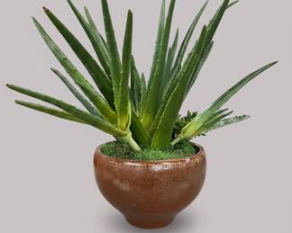 Decorative Planters and Faux Plants with HandPainted Motifs second image