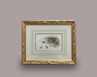 The Genera Of British Moths Lithograph