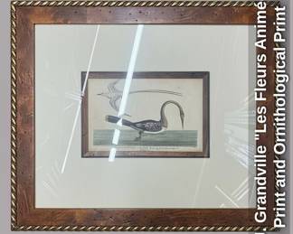 J. J. Grandville Les Fleurs Animes Print and Ornithological Print fourth image