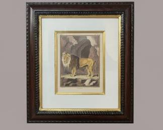 Le Lion The Lion Engraving by GeorgesLouis Leclerc, Comte de Buffon, Pl. XLVIII