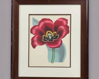 Red Tulip Botanical Print by H.G.L. Reichenbach
