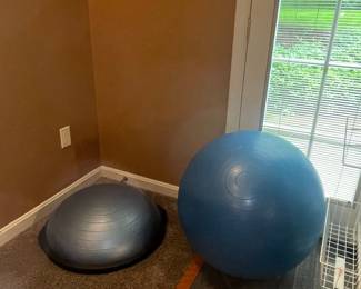 Balance Ball and Bosu Ball