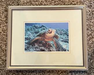Stephen P. Eidel "Honu Portrait" Photograph