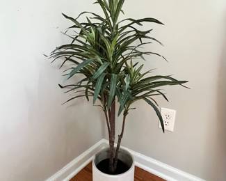plants - real