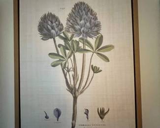 FLoral reproductions