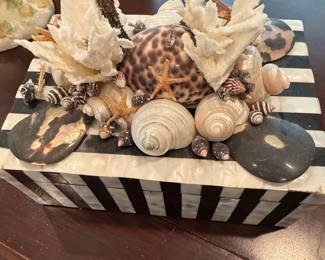 Shell Tiques "Will Ship" Black and White Striped Seashell & Coral Decorative Box