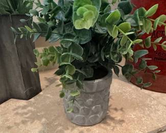 Artificial Eucalyptus Plant in Textured Cement Pot