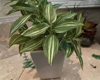 Artificial Wandering Jew Plant (Tradescantia Albiflora 'Albo-vittata') in Square Pot
