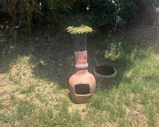 Antique pot with plant