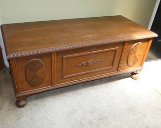 Chest/Trunk