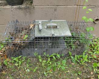 Havahart trap