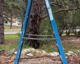 Fiberglass Ladder
