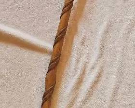 Walking Stick