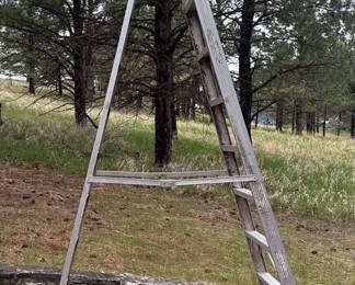 10 Foot Aluminum Step Ladder