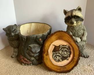 Raccoon Lot