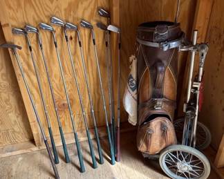 Golf Clubs  Bag