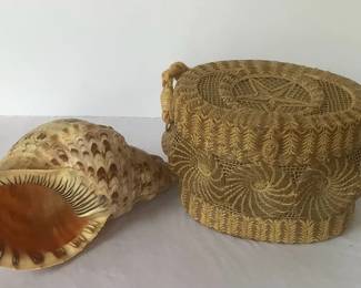 Seashell With Basket