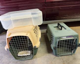 Pet Taxis