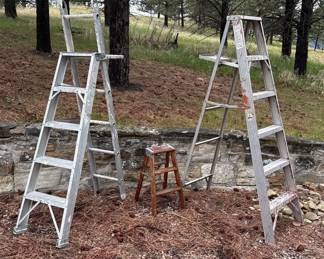 Folding Step Ladder