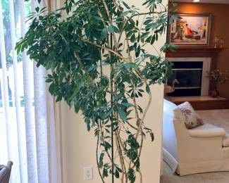 Potted Silk Ficus Plant