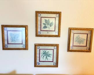 Botanical Framed Prints - Set of 4
