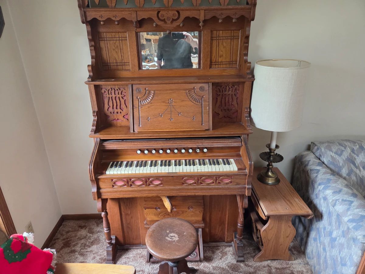 Organ