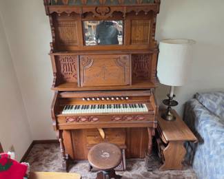 Organ