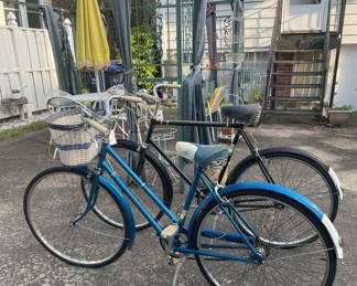 Gazelle Women's Cruiser Bicycle