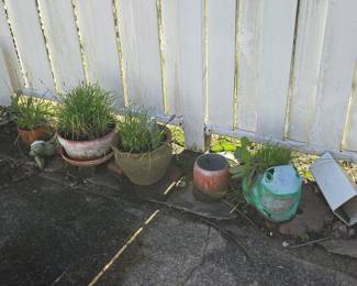 Outdoor Planters