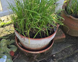 Outdoor Planters