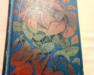 Antique Book - The Folk-Lore of Plants 1889
