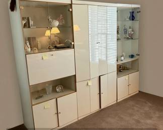 Modular Wall Unit with Display Cabinets and Storage