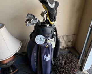 Ping Zing Golf Club Set with King Cobra Driver