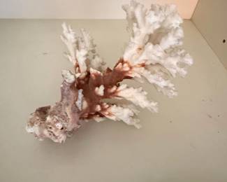 Natural Coral Specimen