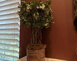 Faux Boxwood Topiary in Wicker Basket  Pair