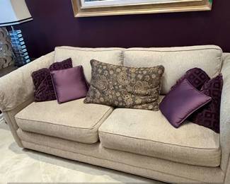 Transitional Style Sofa with Decorative Pillows